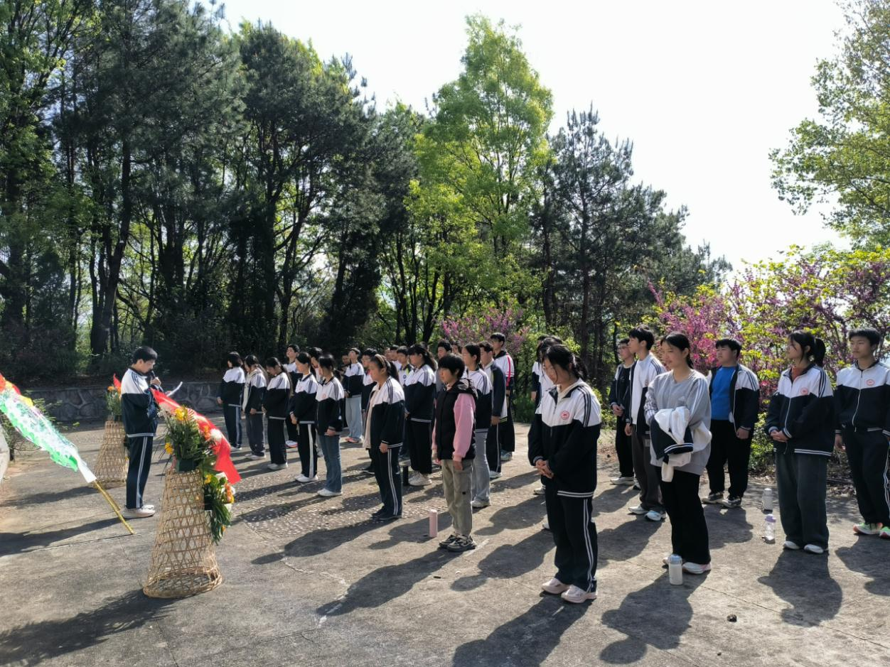 图片28.png