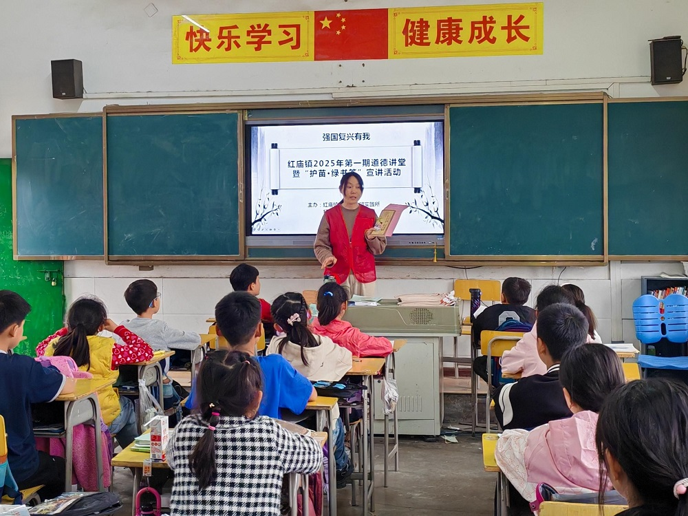 图片3.png